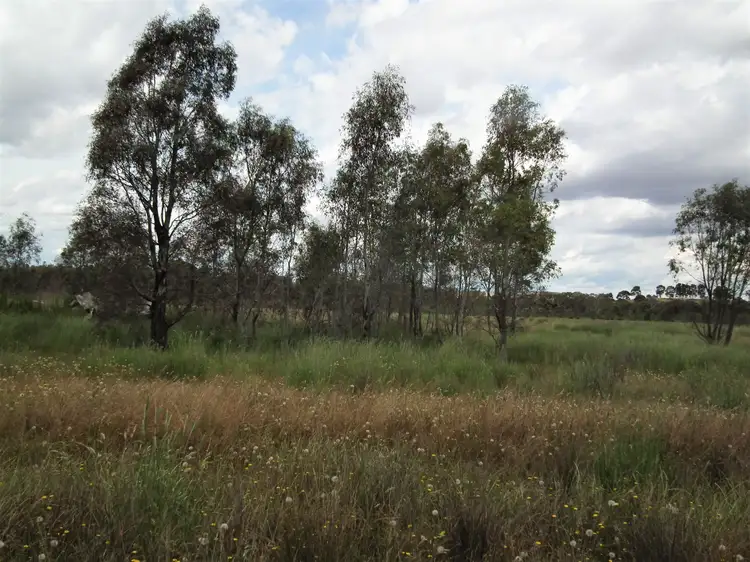 Third view of Homely rural property listing, 22 Wormangal-Wahring Road, Nagambie VIC 3608