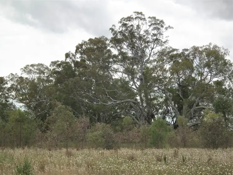 Fourth view of Homely rural property listing, 22 Wormangal-Wahring Road, Nagambie VIC 3608