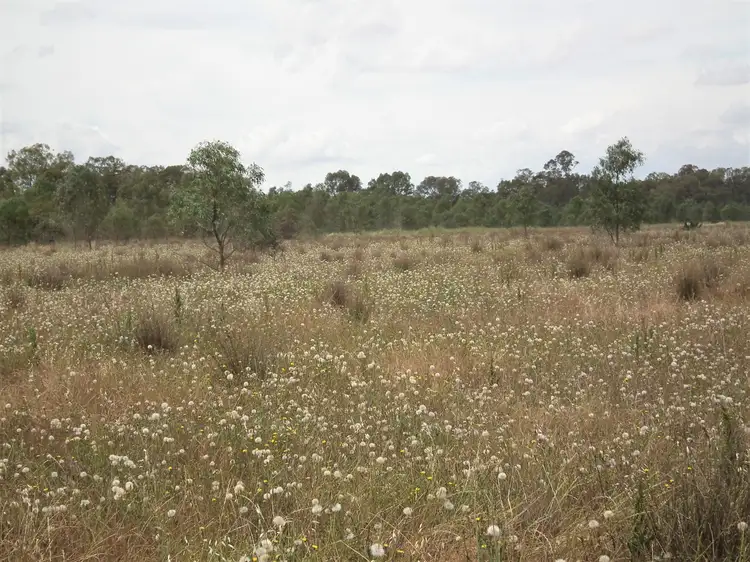 Fifth view of Homely rural property listing, 22 Wormangal-Wahring Road, Nagambie VIC 3608