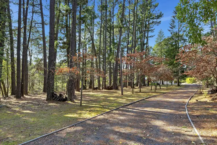 Sixth view of Homely house listing, 13 Prince Edward Street, Blackheath NSW 2785