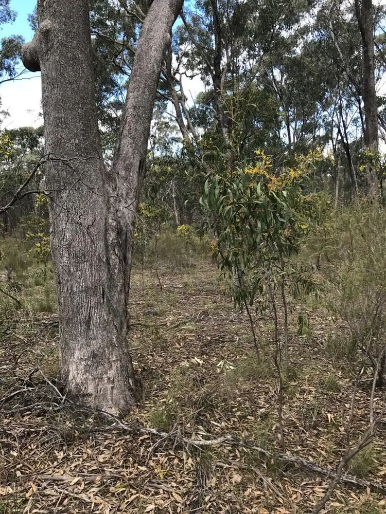 Sixth view of Homely rural property listing, Lot 1 Spring Lane, Bailieston VIC 3608