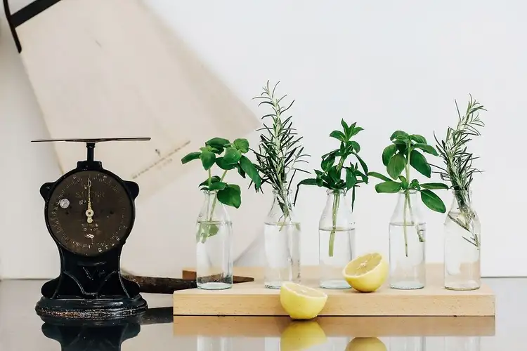 Third view of Homely unit listing, 27/35-37 Quirk Road, Manly Vale NSW 2093