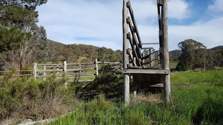 Fifth view of Homely rural property listing, 1620 O'Connell Road, O'connell NSW 2795