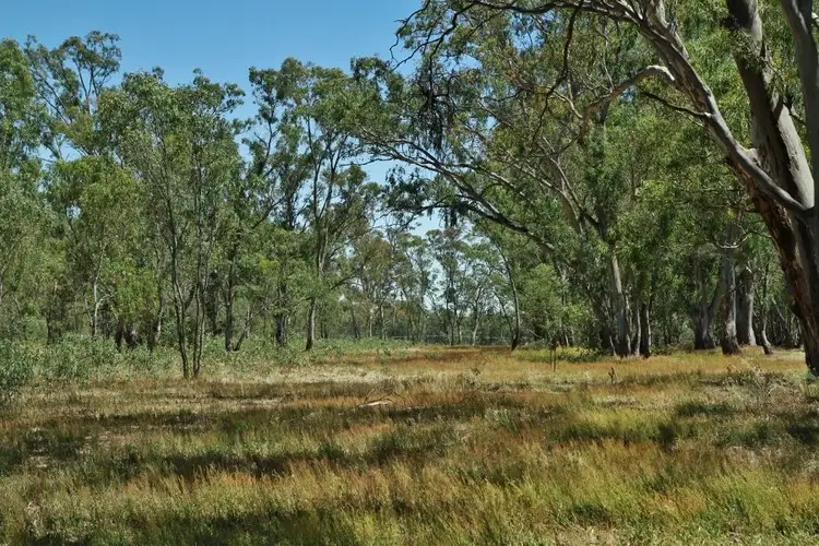 Second view of Homely land listing, 16 Caldwell Street, Heathcote VIC 3523