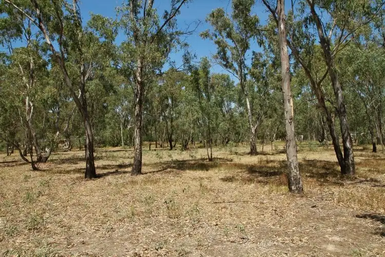 Fourth view of Homely land listing, 16 Caldwell Street, Heathcote VIC 3523
