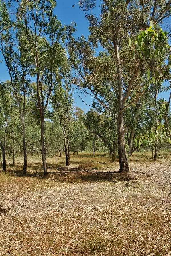 Fifth view of Homely land listing, 16 Caldwell Street, Heathcote VIC 3523