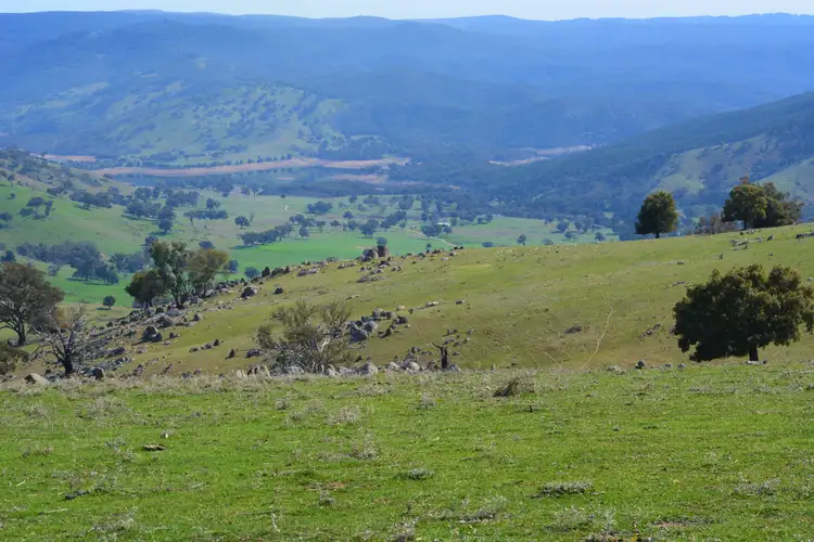 Third view of Homely rural property listing, 168 Decca Road, Crookwell NSW 2583