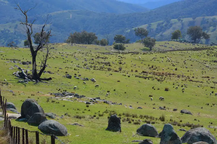Fourth view of Homely rural property listing, 168 Decca Road, Crookwell NSW 2583