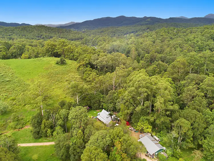 Sixth view of Homely rural property listing, 54 Bald Mountain Road, Limpinwood NSW 2484