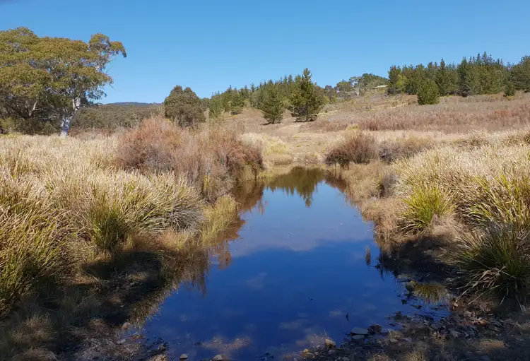 2210 Charleys Forest Road, Nerriga NSW 2622