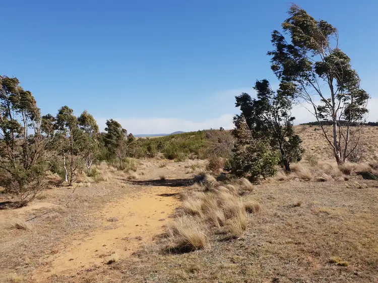Fifth view of Homely rural property listing, 4639 Cooma Road, Krawarree, Braidwood NSW 2622