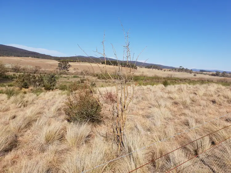 Sixth view of Homely rural property listing, 4639 Cooma Road, Krawarree, Braidwood NSW 2622