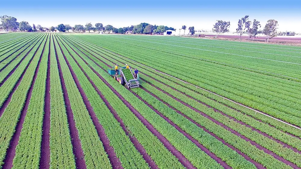 Main view of Homely rural property listing, Address available on request