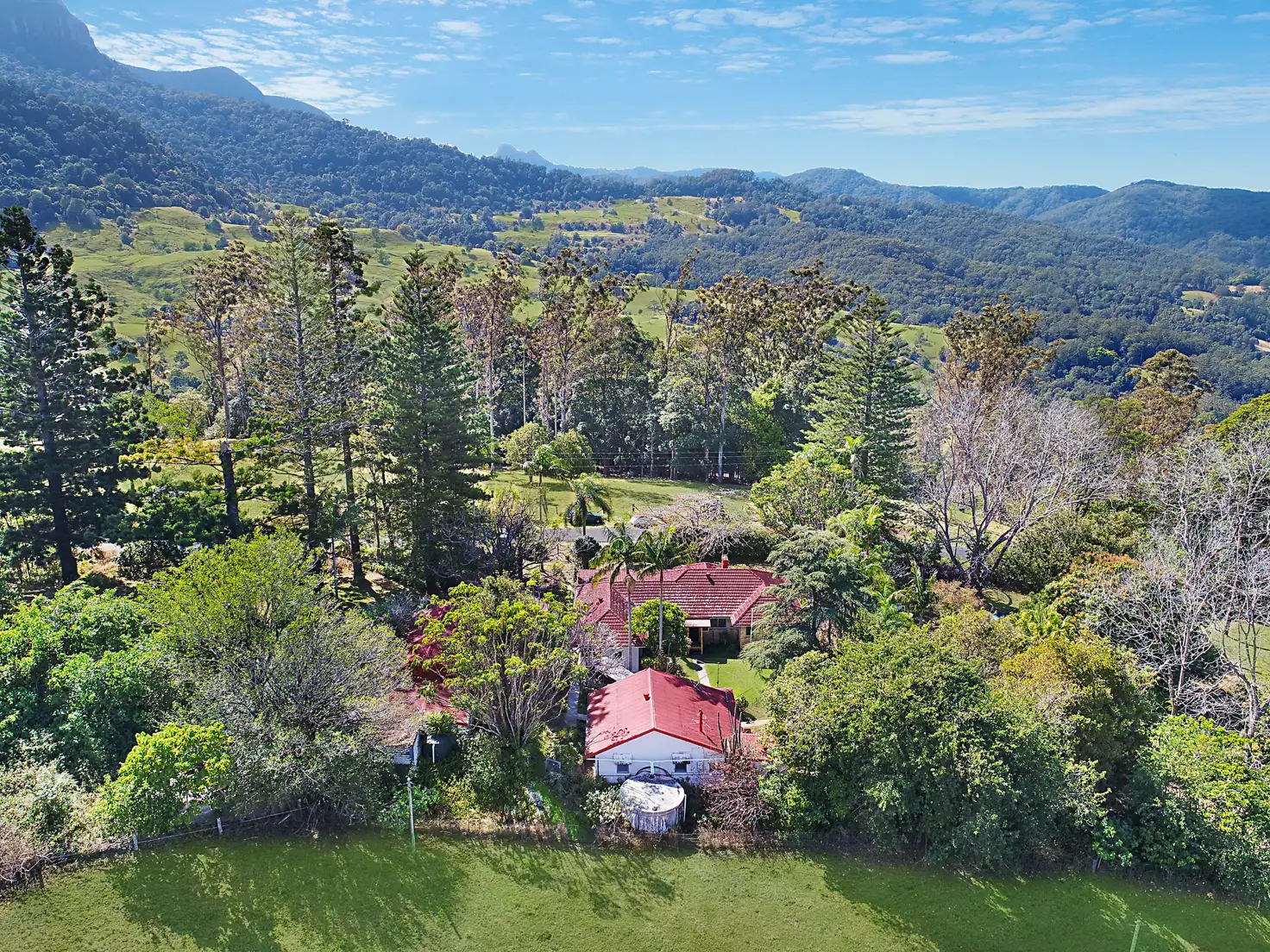 Main view of Homely house listing, 2363 Numinbah Road, Numinbah NSW 2484