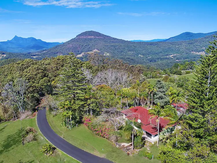Second view of Homely house listing, 2363 Numinbah Road, Numinbah NSW 2484