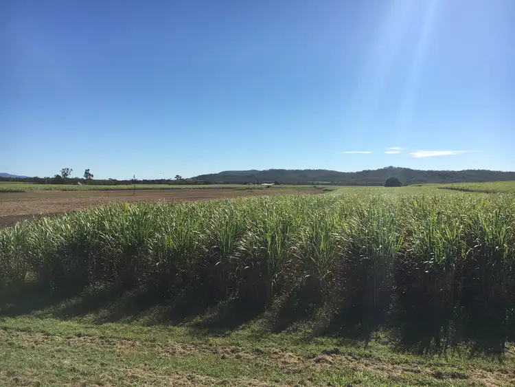 Fifth view of Homely rural property listing, 75 Cone Creek Road, Koumala QLD 4738