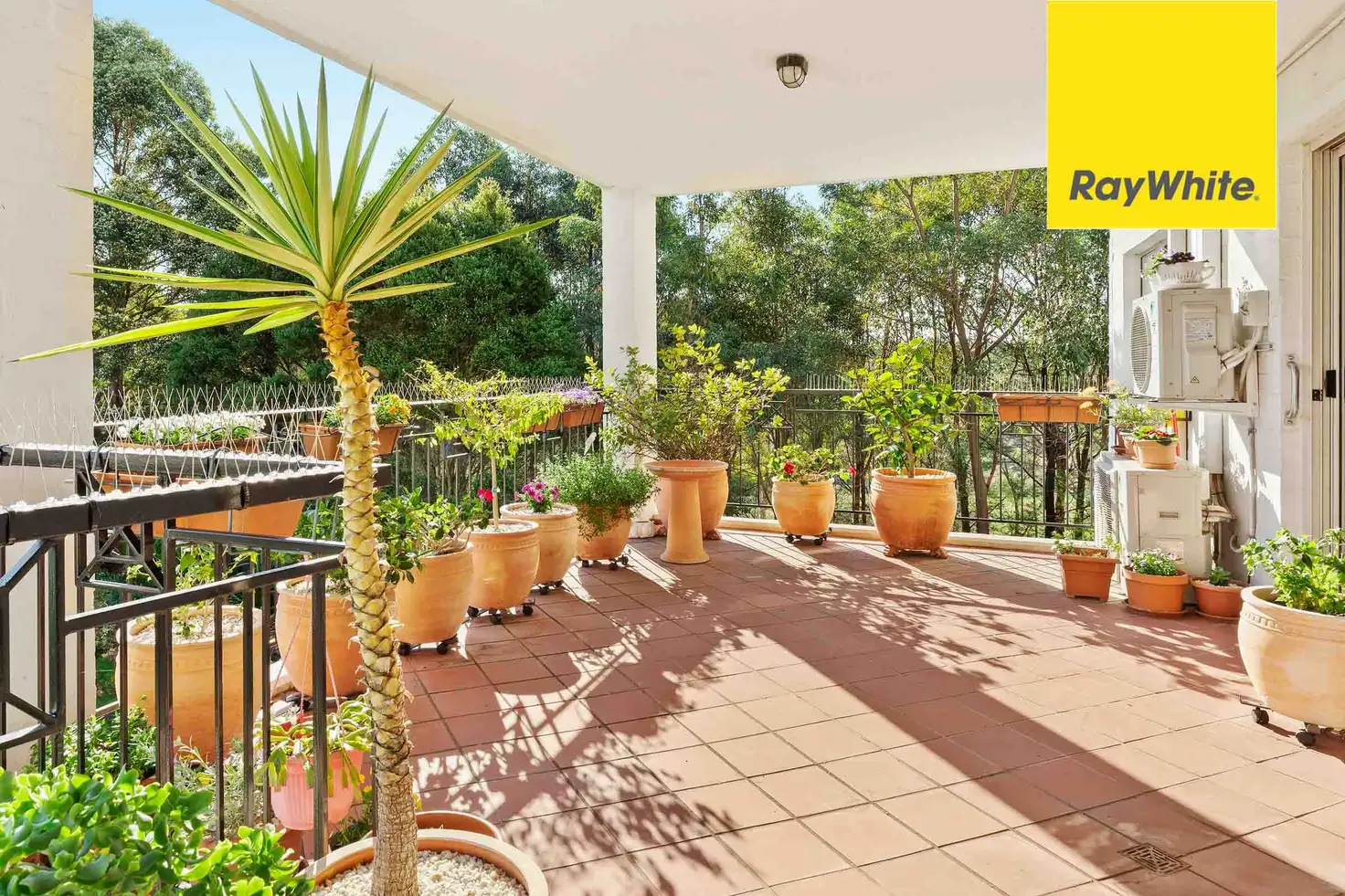 Main view of Homely unit listing, 4/6-8 Nile Close, Marsfield NSW 2122
