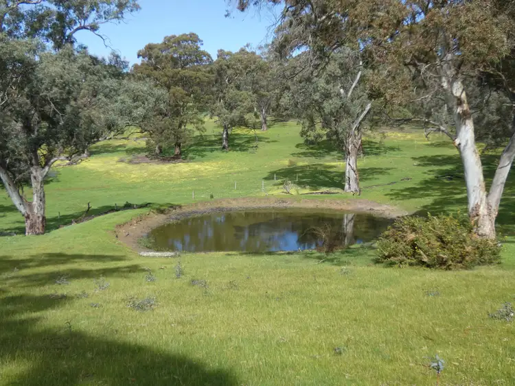 Second view of Homely rural property listing, 66 Nestor Road, Macclesfield SA 5153