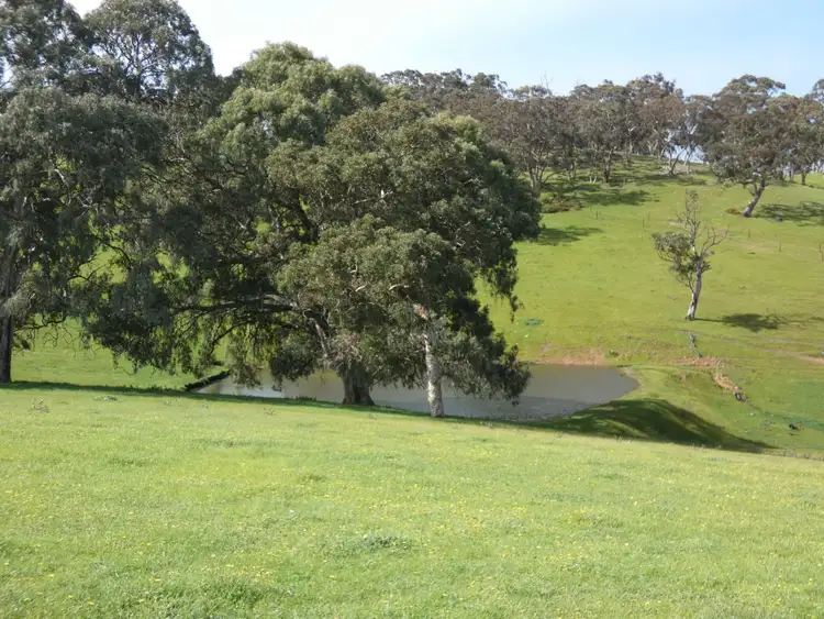 Third view of Homely rural property listing, 66 Nestor Road, Macclesfield SA 5153