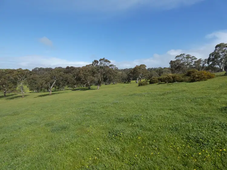 Fifth view of Homely rural property listing, 66 Nestor Road, Macclesfield SA 5153