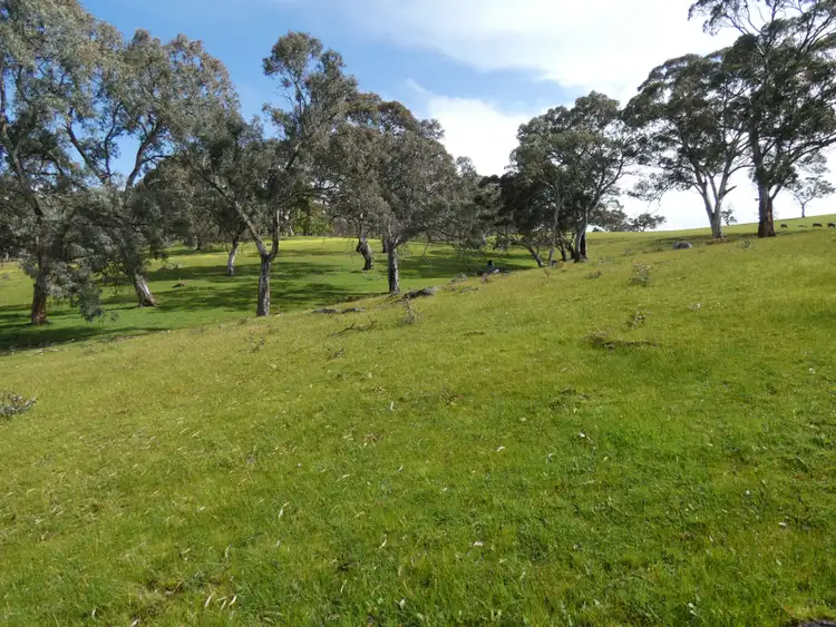 Sixth view of Homely rural property listing, 66 Nestor Road, Macclesfield SA 5153