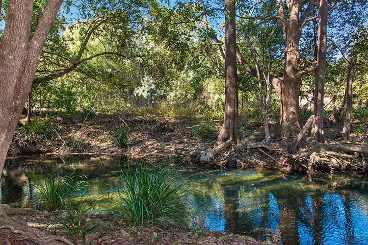 Fifth view of Homely rural property listing, 346 Upper Crystal Creek Road, Upper Crystal Creek NSW 2484
