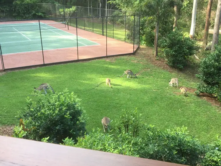 Second view of Homely house listing, 8 Fossilwood Court, Buderim QLD 4556