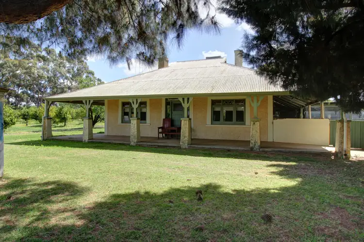 62 Pike Creek Road, Lyrup SA 5343