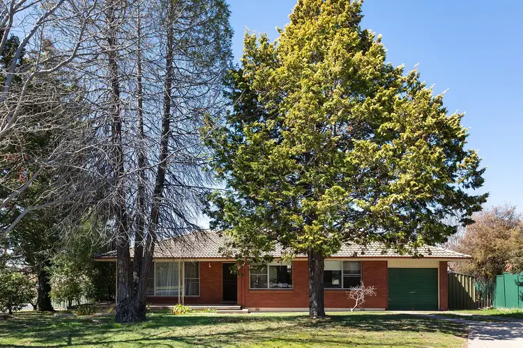 Main view of Homely house listing, 11 Racecourse Road, Orange NSW 2800