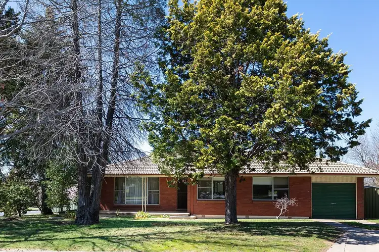 Second view of Homely house listing, 11 Racecourse Road, Orange NSW 2800