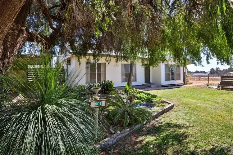 Third view of Homely house listing, 601 Irymple Avenue, Irymple VIC 3498