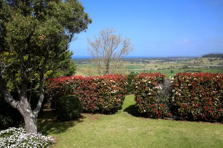 Main view of Homely rural property listing, 221 Willowvale Road, Gerringong NSW 2534