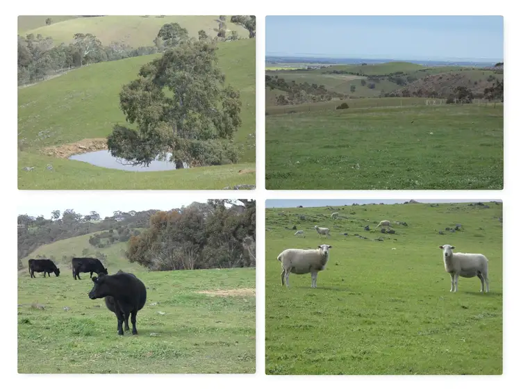 Main view of Homely rural property listing, 82F Treutler Road, Wistow SA 5251