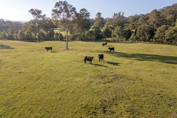 Main view of Homely rural property listing, 92 Punchs Road, Clarence Town NSW 2321