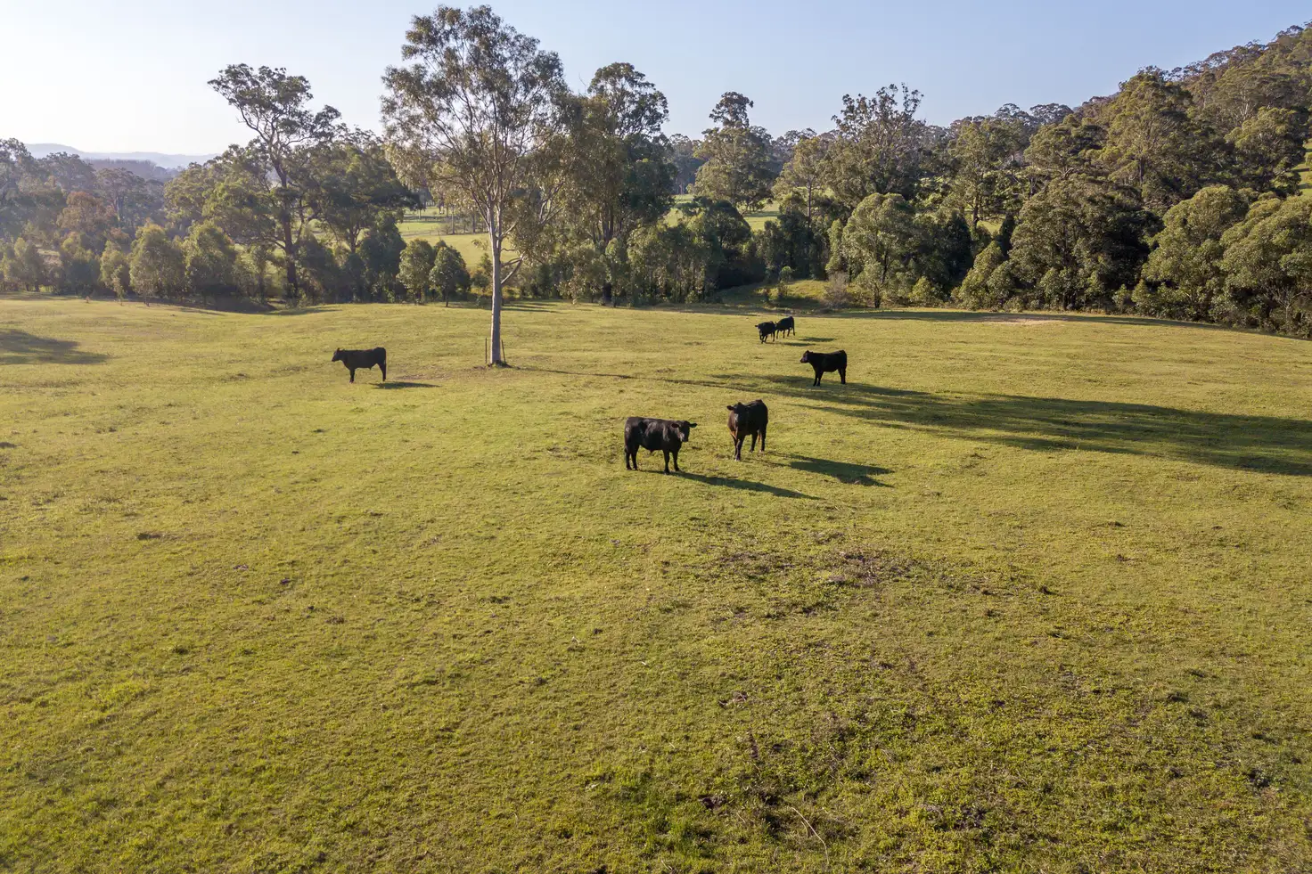 Main view of Homely rural property listing, 92 Punchs Road, Clarence Town NSW 2321