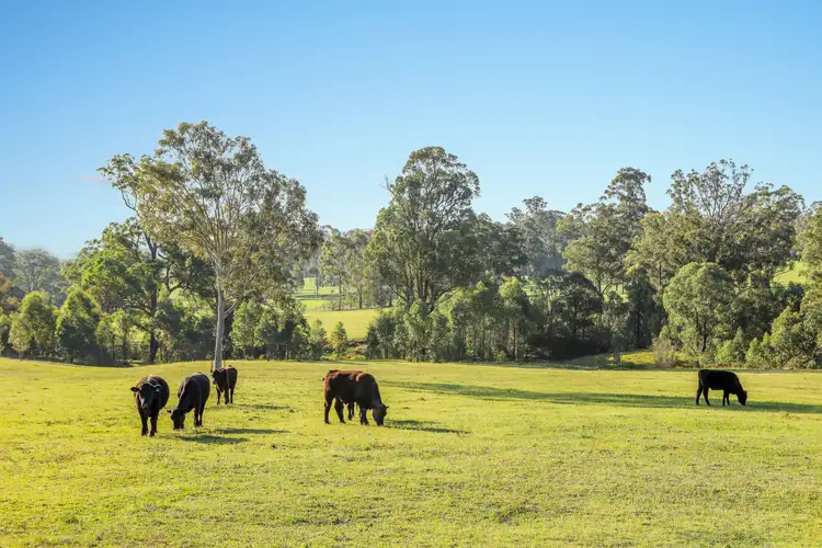Fourth view of Homely rural property listing, 92 Punchs Road, Clarence Town NSW 2321