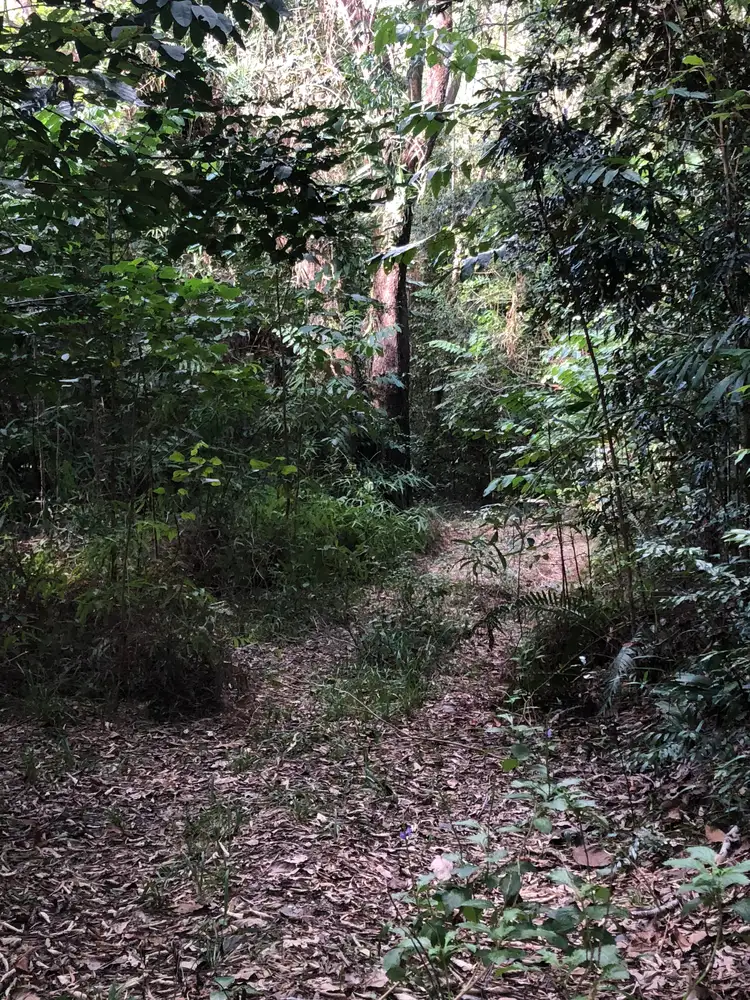 Third view of Homely land listing, 67 Ronald Road, Forest Creek QLD 4873