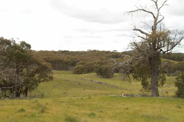 Third view of Homely land listing, Lot 1 255 Hayes Gully Road, Tooborac VIC 3522