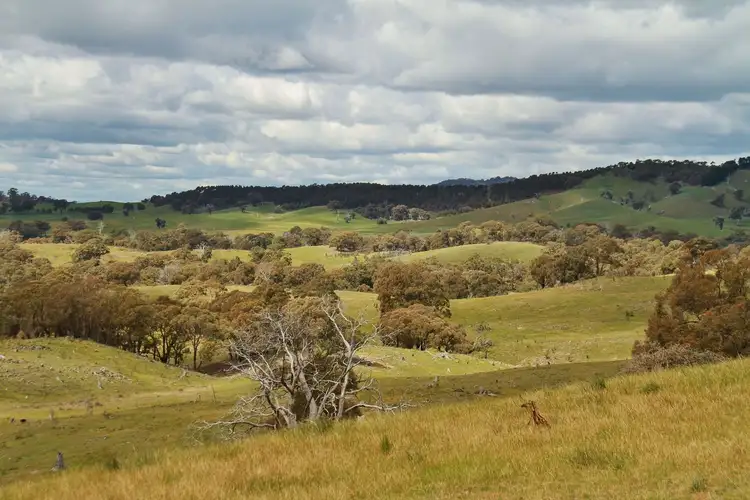 Fifth view of Homely land listing, Lot 1 255 Hayes Gully Road, Tooborac VIC 3522