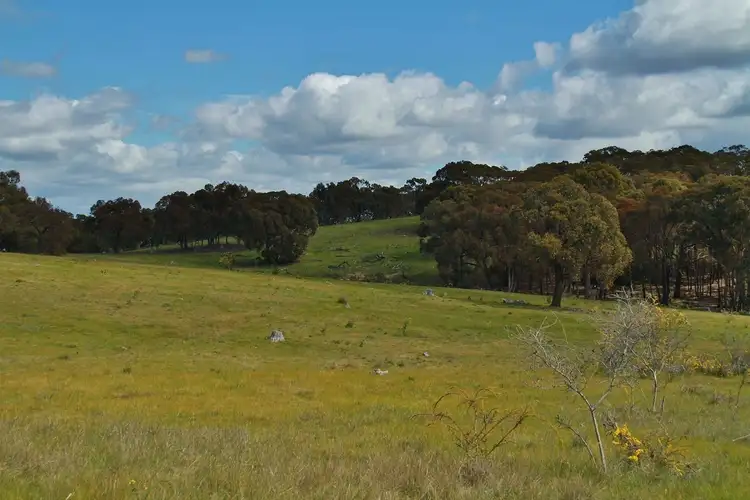 Seventh view of Homely land listing, Lot 1 255 Hayes Gully Road, Tooborac VIC 3522