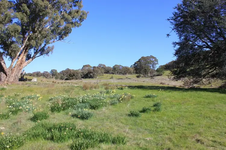 Main view of Homely rural property listing, Address available on request