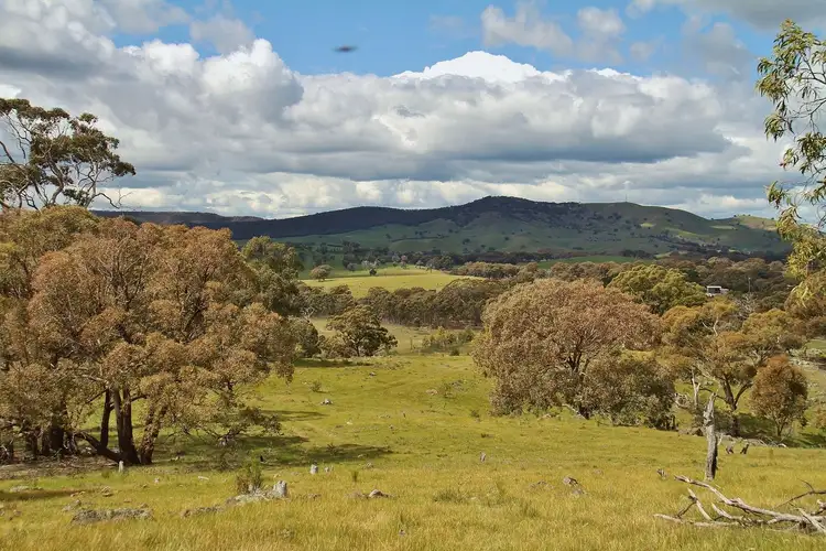 Fifth view of Homely land listing, Lot 2 255 Hayes Gully Road, Tooborac VIC 3522