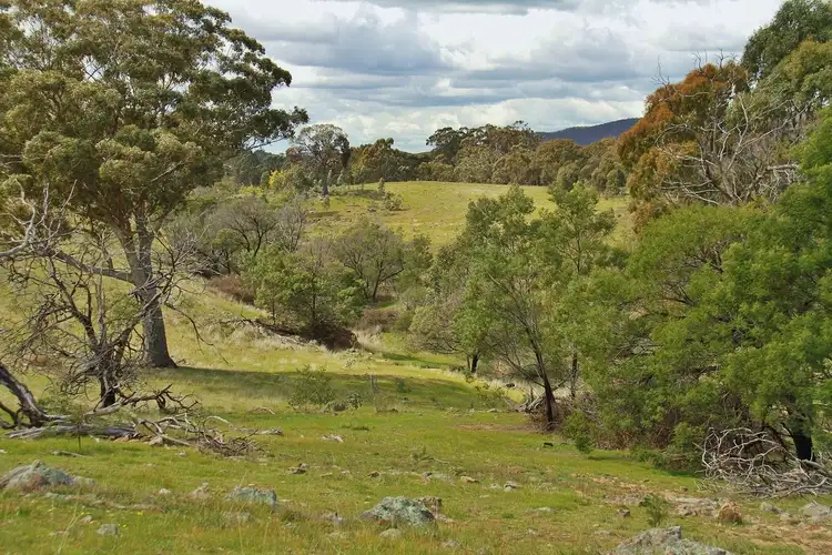 Sixth view of Homely land listing, Lot 2 255 Hayes Gully Road, Tooborac VIC 3522