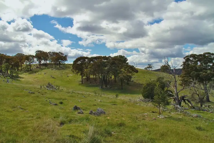 Seventh view of Homely land listing, Lot 2 255 Hayes Gully Road, Tooborac VIC 3522