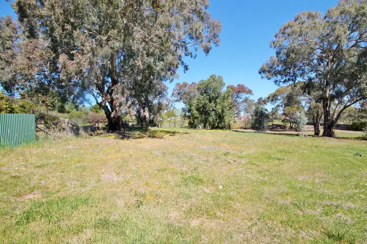 38A William Street, Young NSW 2594
