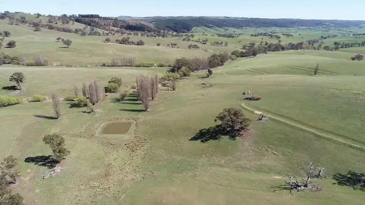 Seventh view of Homely rural property listing, 1046 Wimbledon Road, Bathurst NSW 2795