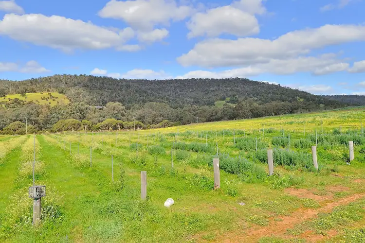 Fourth view of Homely house listing, 1341 Chittering Road, Lower Chittering WA 6084