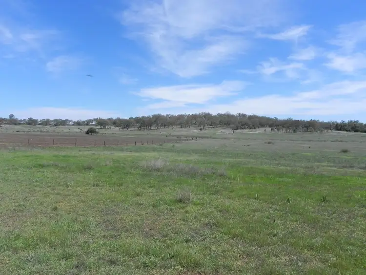 Second view of Homely rural property listing, 0 F Drews Road, Biddeston QLD 4401