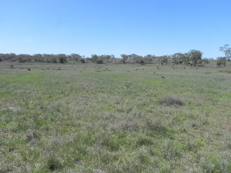 Third view of Homely rural property listing, 0 F Drews Road, Biddeston QLD 4401