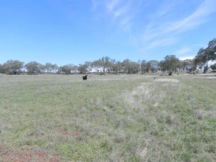 Sixth view of Homely rural property listing, 0 F Drews Road, Biddeston QLD 4401